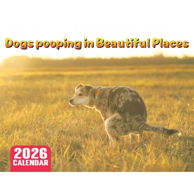 Calendario de perro caca 2026, planificador mensual de año y Agenda, organizador de horario, calendario de pared, regalos divertidos de mordaza de fiesta para amigos